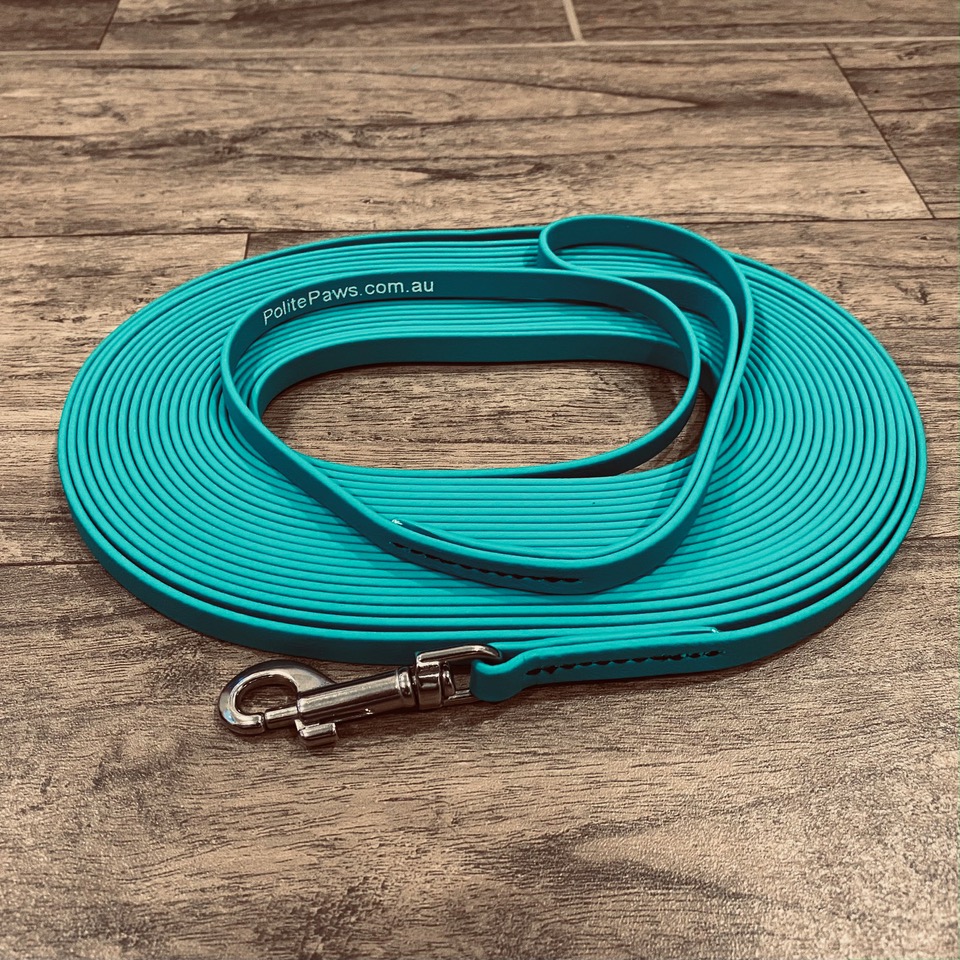 10m Teal Biothane Long Lead - Small Stainless Steel Snap